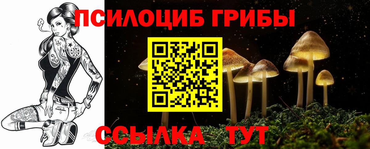 Галлюциногенные грибы ЛСД  Псилоцибиновые грибы Cubensis  Вход с VPN  Шадринск 